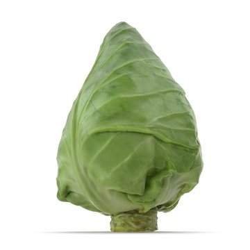 Sweetheart Cabbage 3D Illustration on White Background Isolated