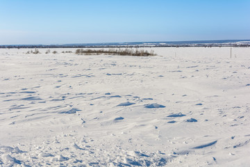 Beauty of nature in winter