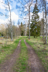 Fototapeta premium Dirt road through the pasture landscape in spring