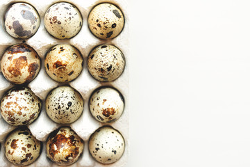 Fototapeta premium quail eggs in a box