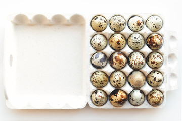 quail eggs in a box