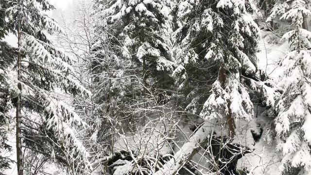 Fairytale winter landscape of valley of the Bila Opava river in Jeseniky Mountains, Czech Republic, 4k footage video.