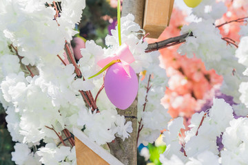 pink easter egg hang on blooming apple tree branch. Easter decoration and celebration concept.