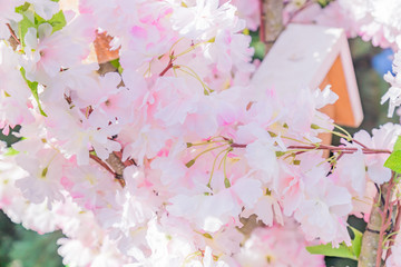artificial blooming cherry tree. Pink flowers background