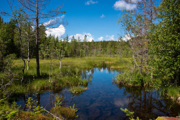 Brakaltjernbekken in Norwegen / Skandinavien