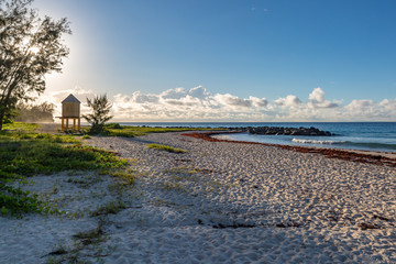 A beach on the Caribbean Island of Barbados, in early morning