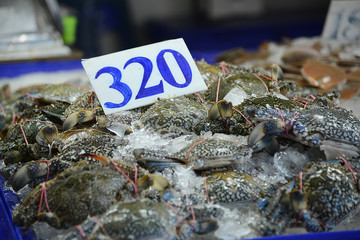 Fischmarkt in Naklua, Thailand