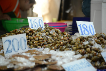 Fischmarkt in Naklua, Thailand