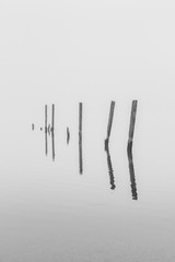 Black and White Image Posts Reflected in Water 