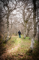 Obraz premium Man alone in the middle of the forest