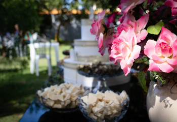 Obraz na płótnie Canvas wedding cake with white flowers