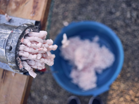 Minced fat in plastic basin