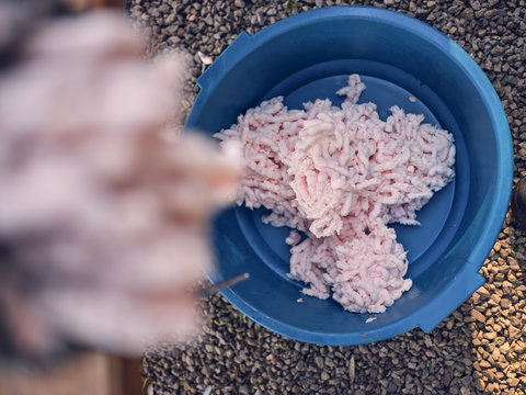 Minced fat in plastic basin