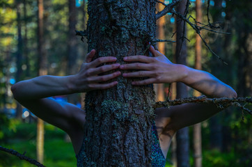 hands of woman with tree