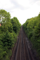 Obraz premium Tree lined railway track / railroad track