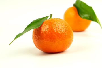 Two ripe tangerines with green leaves on a white background