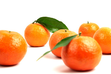 Ripe tangerines with green leaves on a white background and one tangerine in center in focus