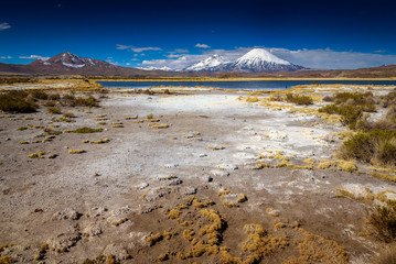 Altiplano de Chile