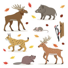 Set of forest wild animals isolated on white background, moose, deer, lynx, boar, beaver, colorful woodpecker, small mouse and fallen leaves, vector illustration