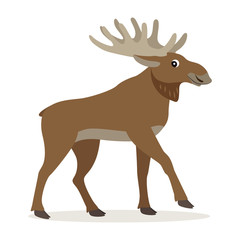 Cute forest animal, friendly moose with big horns, woodland beast, isolated on white background, vector illustration