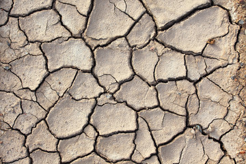 close up of cracked soil background.
