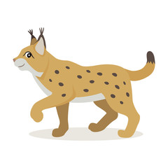 Friendly forest animal, cute yellow lynx icon, woodland beast, vector illustration isolated on white background