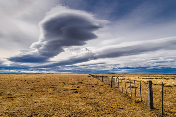Pampa de la Patagonia en Chile