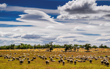 Pampa de la Patagonia en Chile