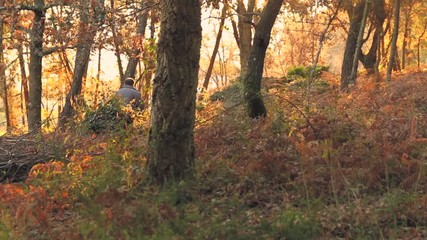 MAN WALKING IN THE FOREST