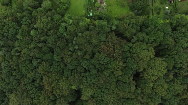 Flug &uuml;ber W&auml;lder