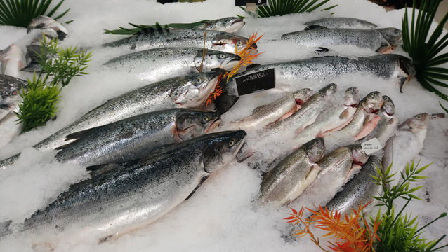 stand de poisson