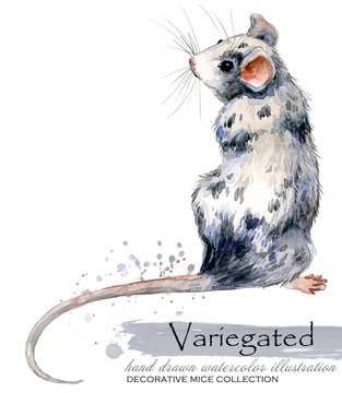 Decorative Mice Watercolor Illustration. Home Mouse 