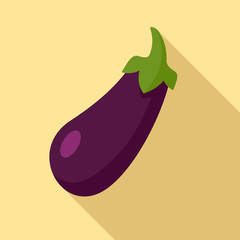 Eggplant icon. Flat illustration of eggplant vector icon for web design