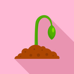 Grow seed plant icon. Flat illustration of grow seed plant vector icon for web design