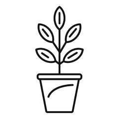 Pepper plant pot icon. Outline pepper plant pot vector icon for web design isolated on white background