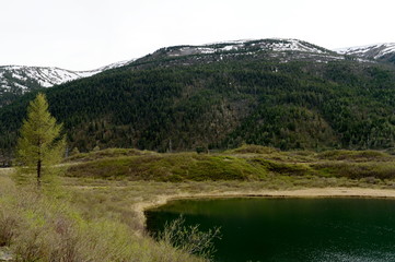 Lake Cheybekkol in the Ulagan district of the Altai Republic
