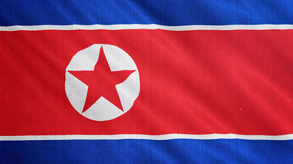 North Korea flag is waving 3D animation. Symbol of North Korean national on fabric cloth 3D...