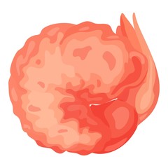 Shrimp tail icon. Cartoon of shrimp tail vector icon for web design isolated on white background