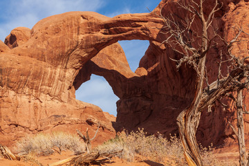 Scenic Arches National ark utah Landscaep