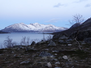 Am Fjord in Norwegen