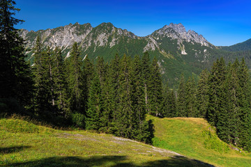 Brandnertal in Summer, Vorarlberg, Austria