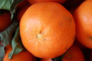 macro of a tangerine close up. very bright orange color. power of nature.