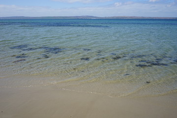 Sea Loch 7