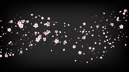 Nice Sakura Blossom Isolated Vector. Beautiful Falling 3d Petals Wedding Paper. Japanese Blooming Flowers Illustration. Valentine, Mother's Day Spring Nice Sakura Blossom Isolated on Black