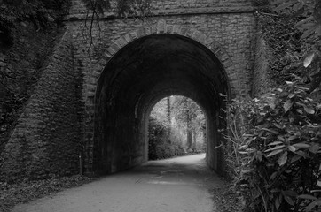 Railway walk, Jersey, U.K.
B&W image of an obsolete structure now used for the cycle track.