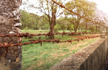 Rusty old barbed wire fence on the cement wall