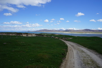 Fototapeta premium Estuary 2