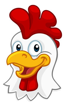 A chicken cartoon rooster cockerel character mascot