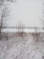 winter landscape with trees and snow
