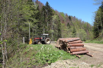 Bieszczady 2018 © Marek